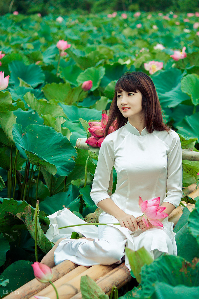 欧美高清性